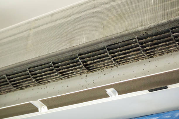 Best Air Duct Mold Removal  in Breckenridge, TX